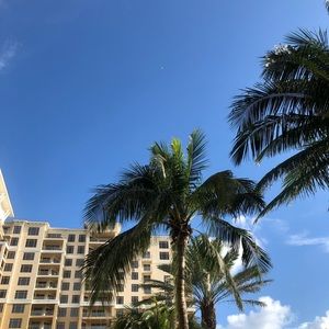 Meet your Posher, Hailey